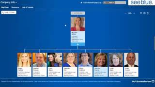 PE Tips and Tricks: Using the Org Chart
