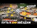 ТРОФХАНТИНГ. Путь к 100 звёздам ● Стрим ● Русская Рыбалка 4