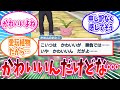 かわいいけど対戦では…なハネッコ一族を愛してやまないトレーナーの反応集【ポケモン反応集】