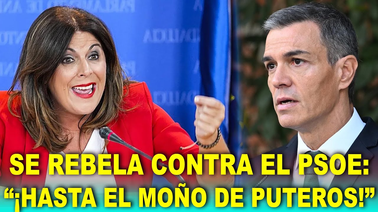 Diputada socialista SE REBELA contra el PSOE y ESTALLA: “¡Estoy hasta el moño de puteros!”