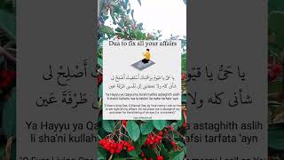 Yaa Hayyu Yaa Qayyoom Bi Rahmatika Astagheethaslih Lee Shanee Kullahu Wa Laa Takilni Ilaashorts