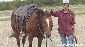 King***For info, price, etc., go to our website***ValleyViewRanch.net