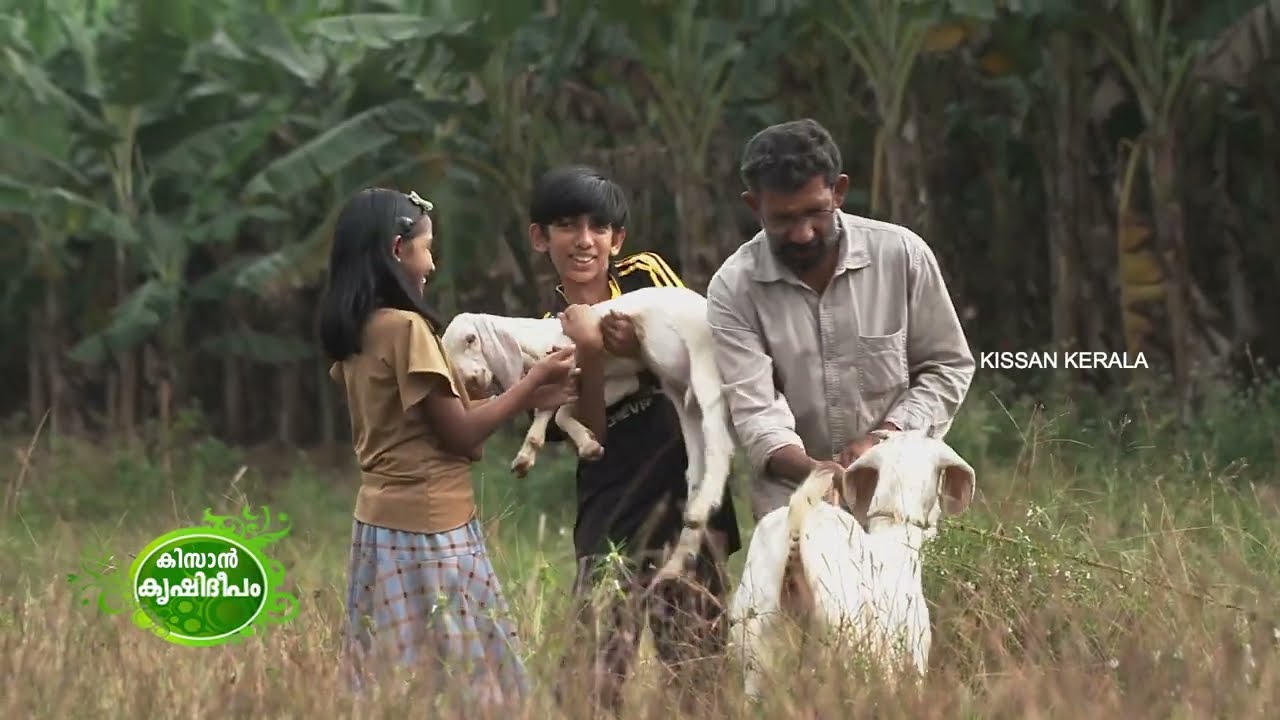 Kissan Krishideepam Episode - 1040 Chandrasekharan Wayanadu