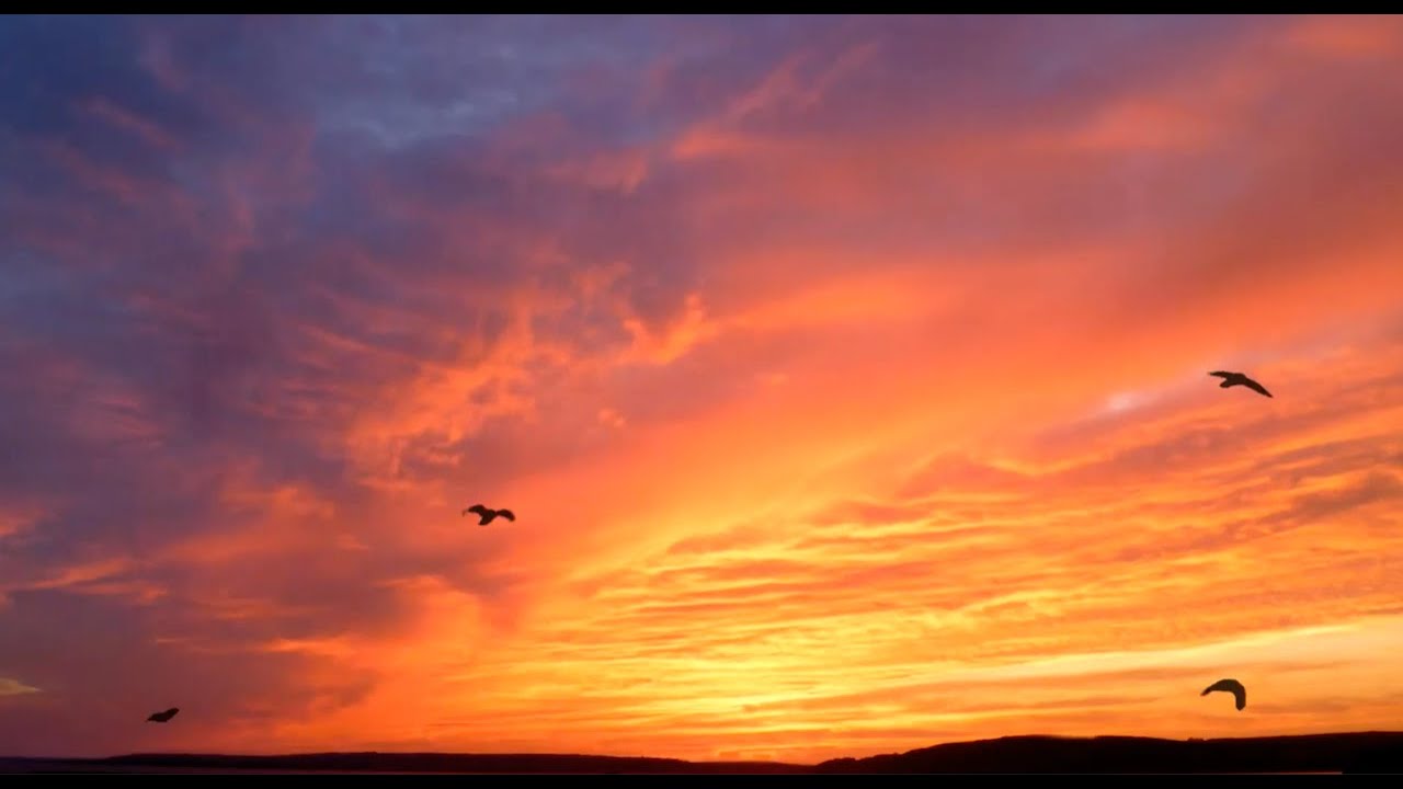 CHAPTERS 19-20. Qumran, the Zadokites, The Elijah Message, and the Calling of the Bride of Messiah