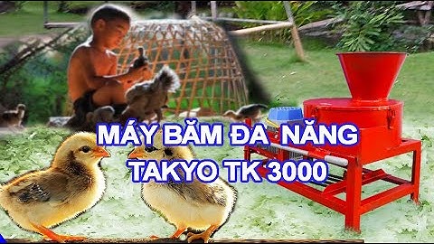 Giới thiệu chi tiết máy thái băm chuối cho gà vịt, video sử dụng máy băm cây chuối