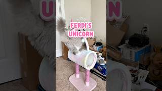 Ferdi’s Unicorn 🦄