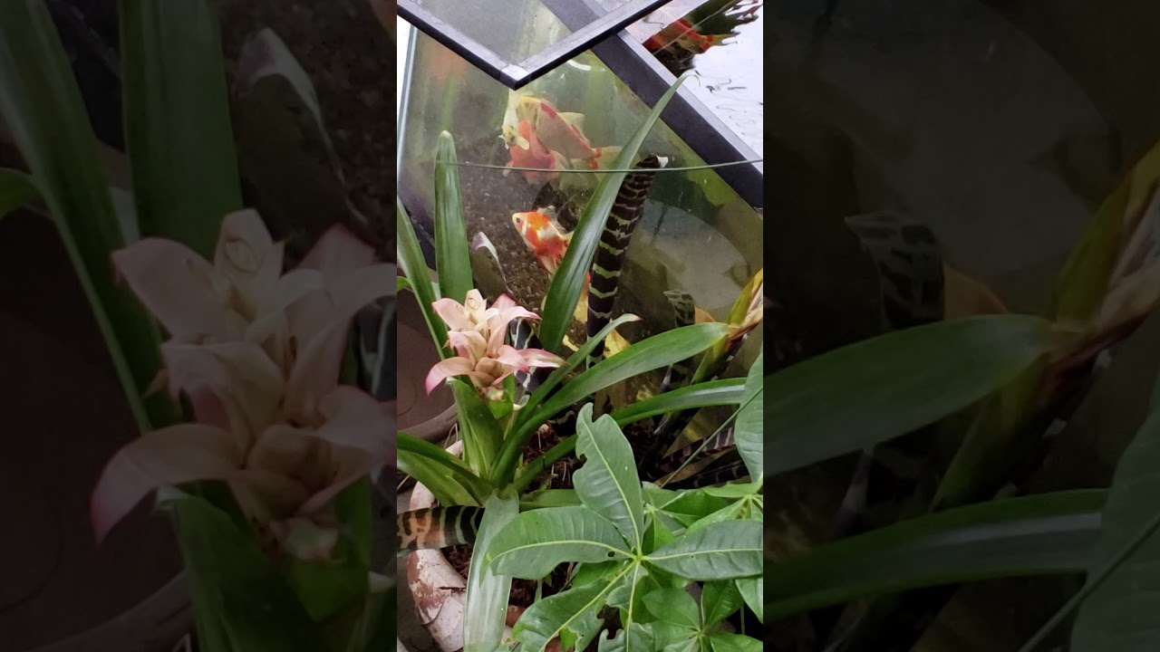 venicebeach karlsruhe Outside aquarium