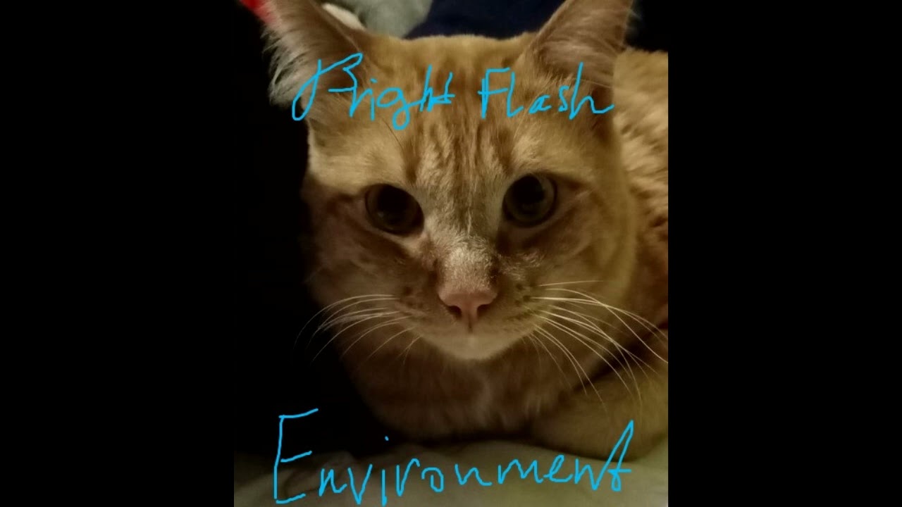 Bright Flash - Environment [FULL ALBUM]
