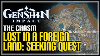 Lost in a Foreign Land: Seeking Genshin Impact
