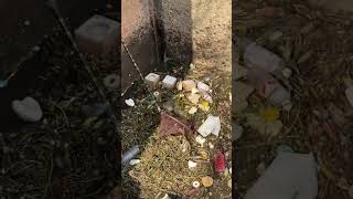 After Selling The Copy Network For Three Years, I Suddenly Received A Bad Review Network