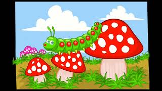 The Curious Little Caterpillar || Life Lessons