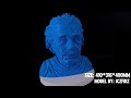 ERYONE Thinker X400: Stunning 3D Print of Einstein's Bust