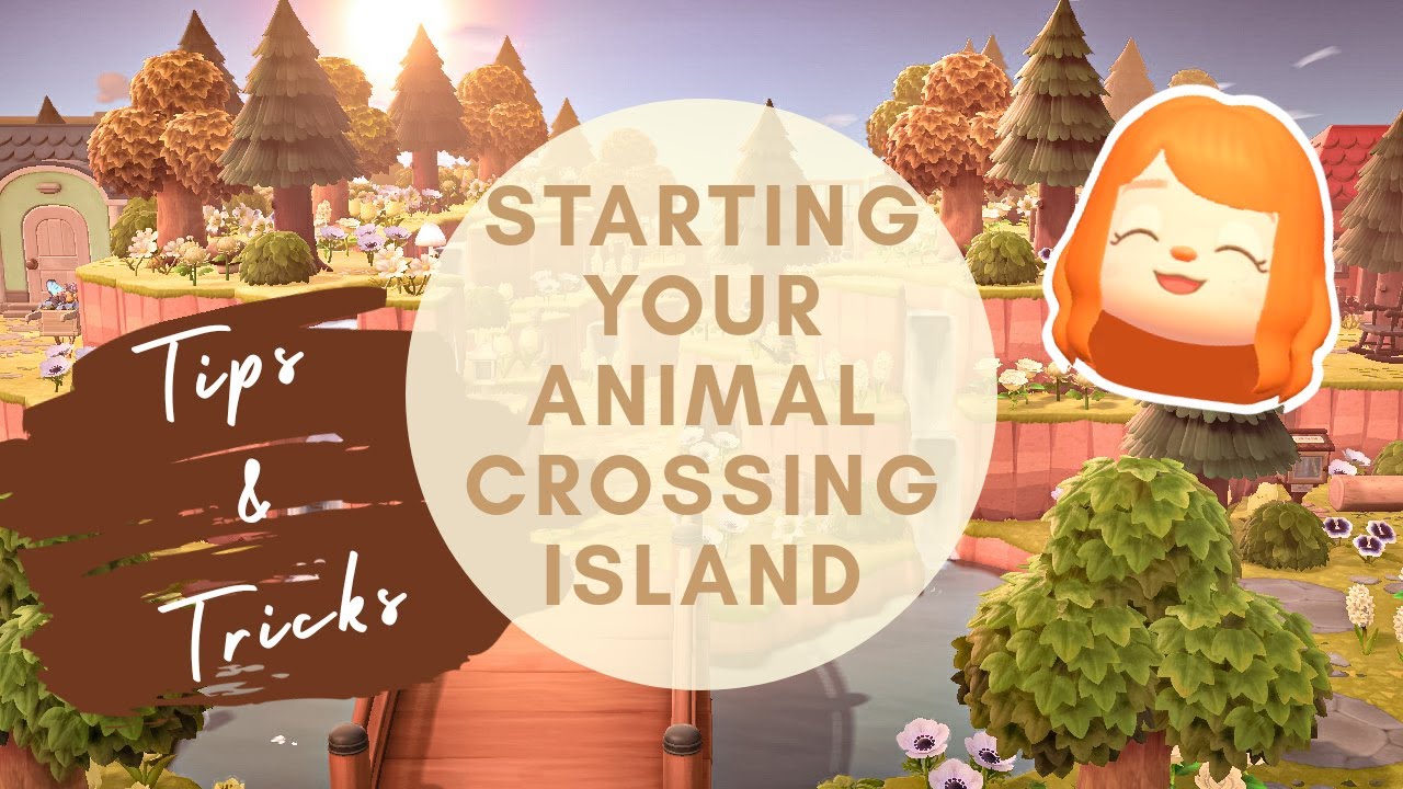 Where to Start on Your Animal Crossing Island — Tips and Tricks // Animal Crossing: New Horizons