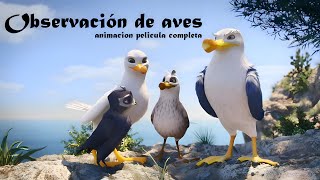 Observación de aves | Aventura de animación | película completa | ESPAÑOL LATINO HD ✔️