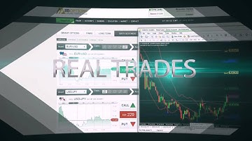 Night Owl Binary Options Signals - Live Trading Room