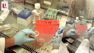 York U makes a 3D heart beat as one