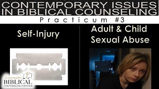 Track 4 Practicum 3 - Self-Injury - Adult and Child Sexual Abuse