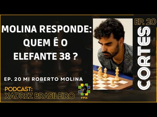 MI Molina fala sobre MATCH DO ELEFANTE38 VS NAKA e reage a ESTATÍSTICAS DE  ENXADRISTAS brasileiros!! 