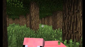 Minecraft 1.3.2 - Slenderman MOD -