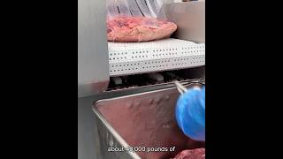 Buona Beef Factory Tour with Joey Wellness