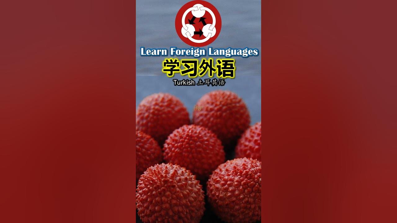 1815 Fruits 水果 How to pronounce lychee 荔枝 in Turkish shorts YouTube