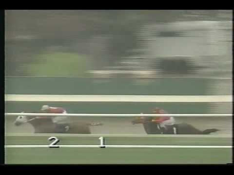 Thoroughbred vs. Quarterhorse - FG Dec. 1995