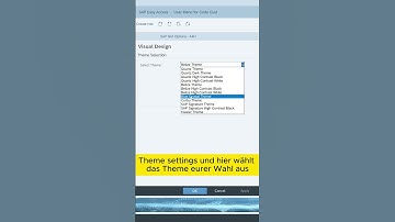 SAP GUI Erscheinungsbild Theme ändern #sap #gui #theme