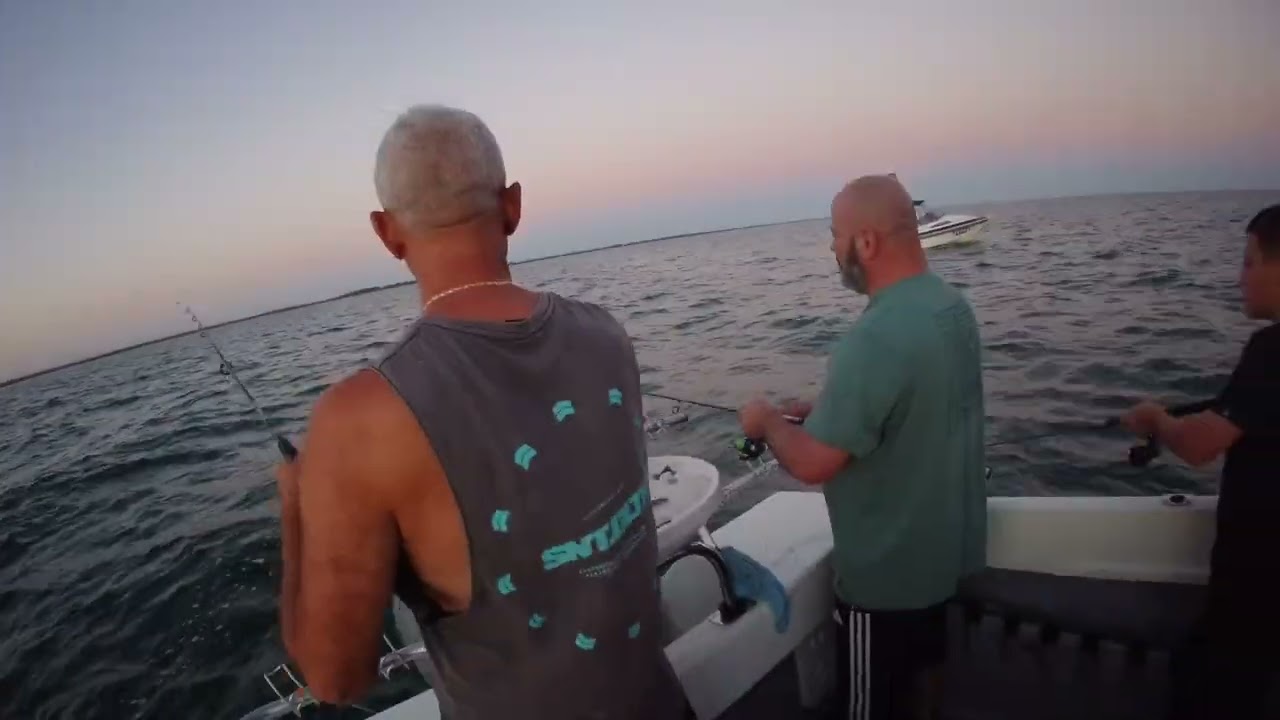 75 King George Whiting in Werribee ￼￼￼