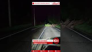 🚨 Rodado en Ruta 240 Aysén-Coyhaique