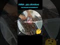 #Тезкор #ХушхабарЎзбекистонга Покистондан гўштлар кириб келмоқда ва 70 000 сўмдан