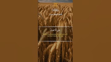 استمع لسورة المائدة بتلاوة خاشعة | القارئ إسلام صبحي 🎧🌙