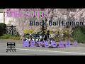 新型Z900RS Black Ball Edition、車両インプレ、満足点は何?NEXTライダーモトブログ