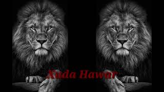 Shino Beats - Kurdish Drill Remix [Xuda Hawar]