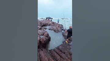 Đi Câu Cá Ngày Biển Động | Sơn Dược Vlog