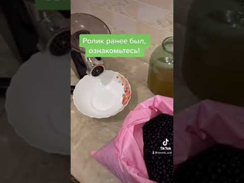 Как я храню черноплодную рябину.