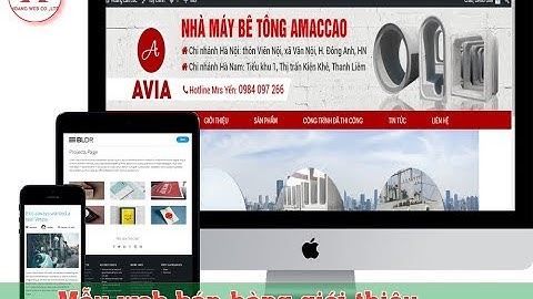 Tải Theme WordPress web bán hàng giới thiệu