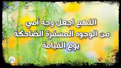 سورة الأحزاب من الآية ٣١ إلى الآية ٤٠