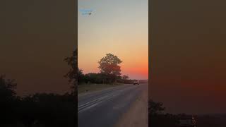 #sunrise #moonset #morningsunrise #work #moon #sun 😍 #southafrica #krugernationalpark