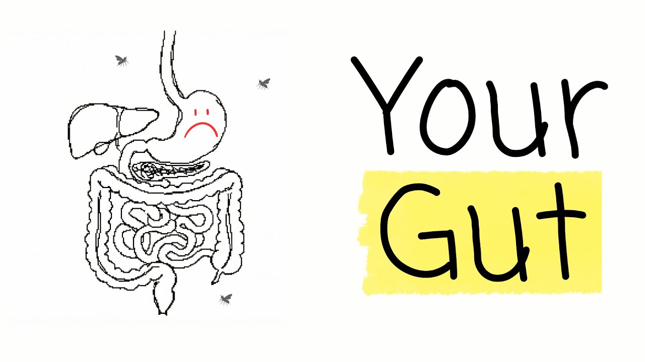 Gut Health Explained in 5 minutes (No BS)