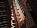 Notes+Keys+Hammers #shorts #piano #pianist #music #fyp