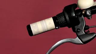 PAS Crew Disney edition ミッキーを探そう