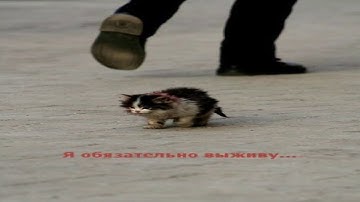 Я ОБЯЗАТЕЛЬНО ВЫЖИВУ — ОТКУДА МЕМ?