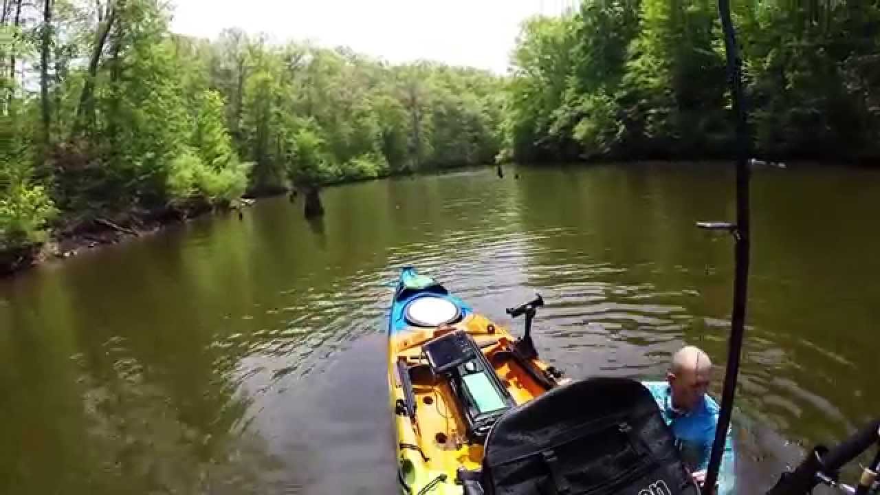 Kayak Fishing Woodrums Lake WV YouTube