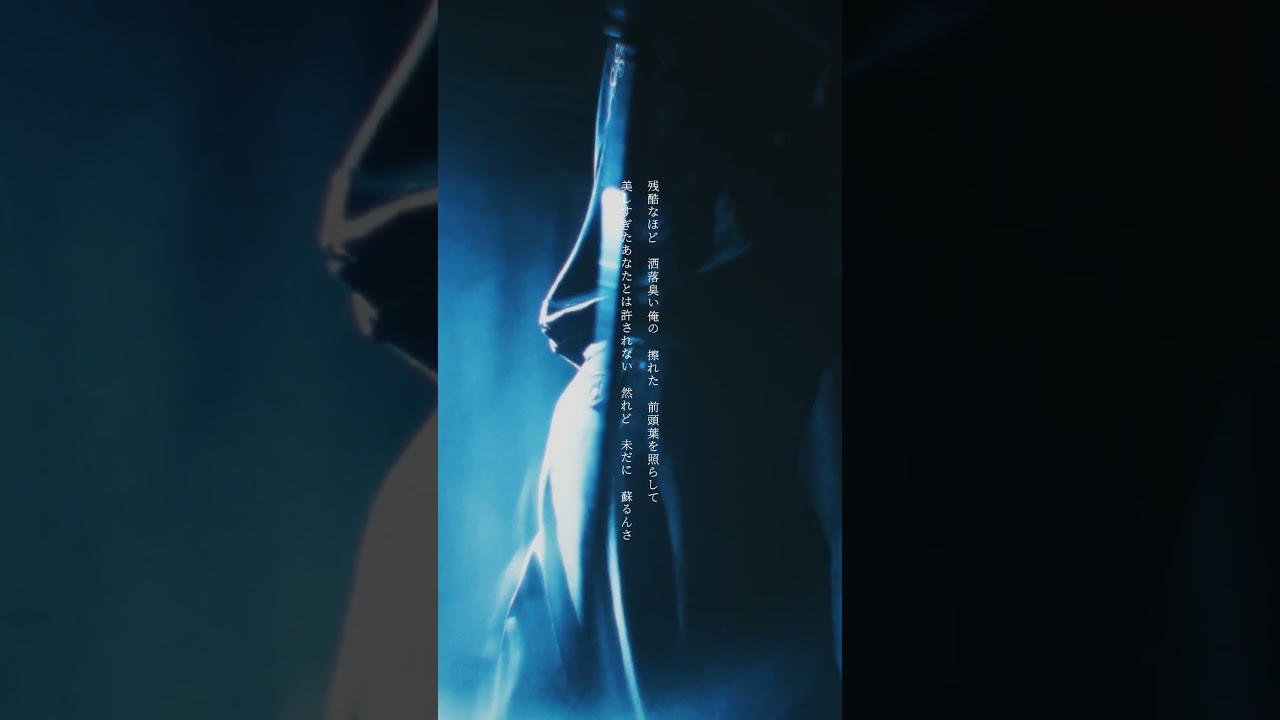 #熱帯魚
