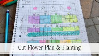 How I Planned My Cut Flower Rows & Planting