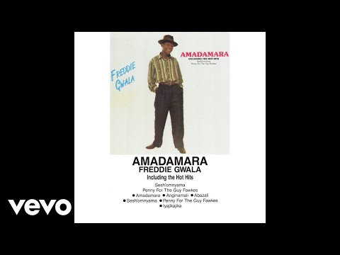 Freddie Gwala - Iyajikajika (Official Audio)