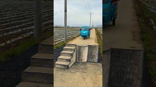 Viral Road Illusion That Terrified Riders! #shorts #urbanillusionstudios #trending #explore #metro