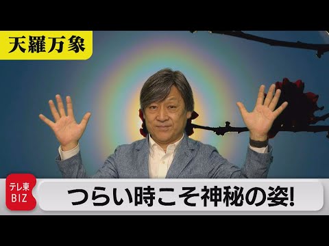 Peak Pollen Season: Finding the Mystical in Tough Times! [Commentator Kubota’s Tenra Bansho] (73)...