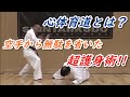 心体育道 極真はじめフルコンタクト空手の無駄を省いた超護身術！ ShinTaiikido Hirohara. Ashihara. Kyokushin.