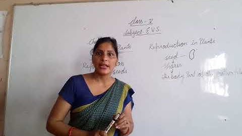 Class -V , subject EVS , chapter -9 Growing Plants